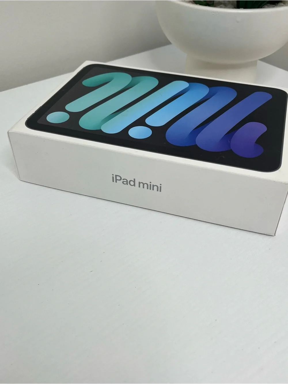 Apple iPad Mini Box